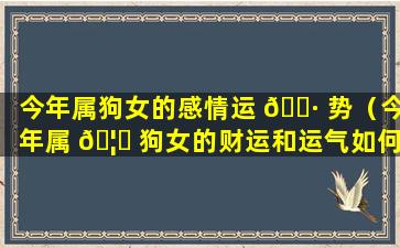 今年属狗女的感情运 🕷 势（今年属 🦉 狗女的财运和运气如何2021）